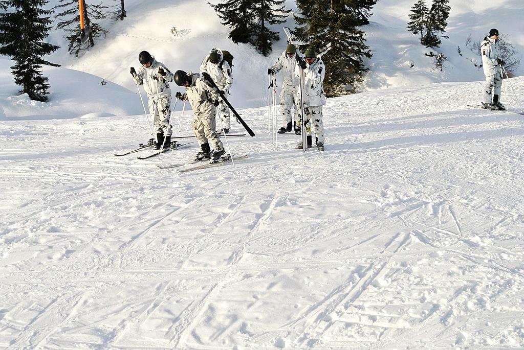 Michael Lee, Lead Developer