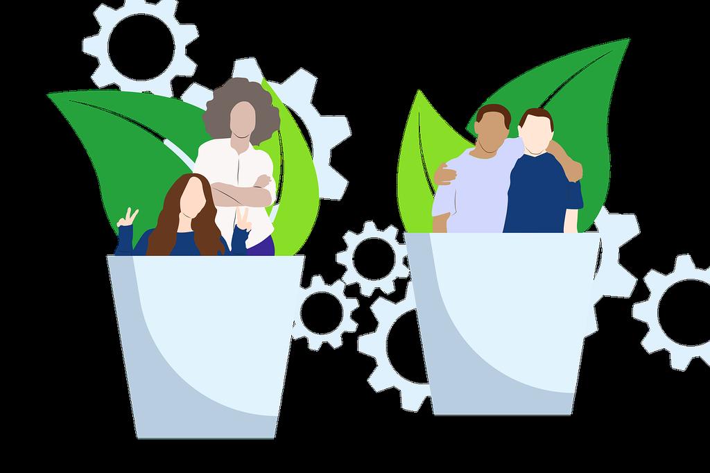 Sarah Chen, Software Developer